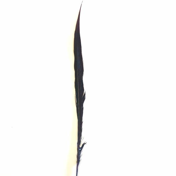 10" To 20" Golden Pheasant Side Tail Feather – Chocolate Brown  |   Pheasant