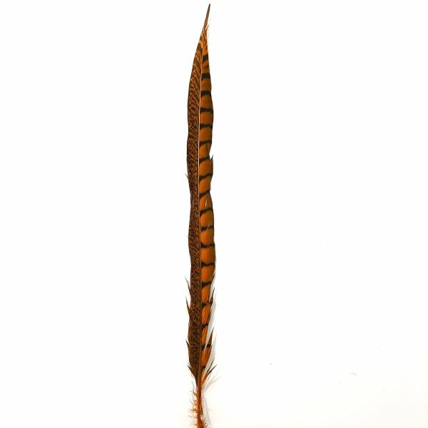 10" To 20" Lady Amherst Pheasant Side Tail Feather – Orange  |   Pheasant