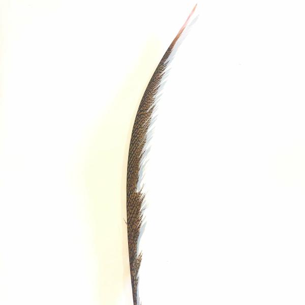 Golden Pheasant Centre Tail Feather X 10 Pcs – Pink ((Bulk Pack))  |   Pheasant