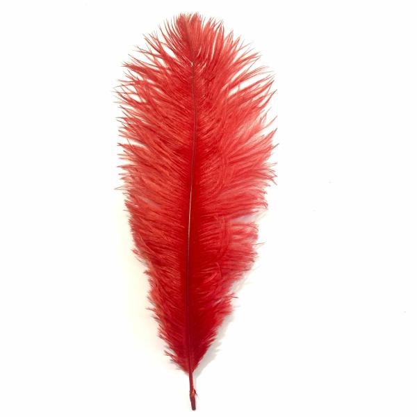 Ostrich Drab Feather 27-32Cm – Red  |   Ostrich