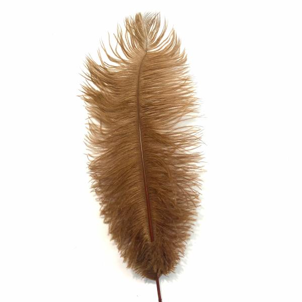 Ostrich Drab Feather 27-32Cm – Rust Brown *Seconds* Pack Of 5  |   Ostrich