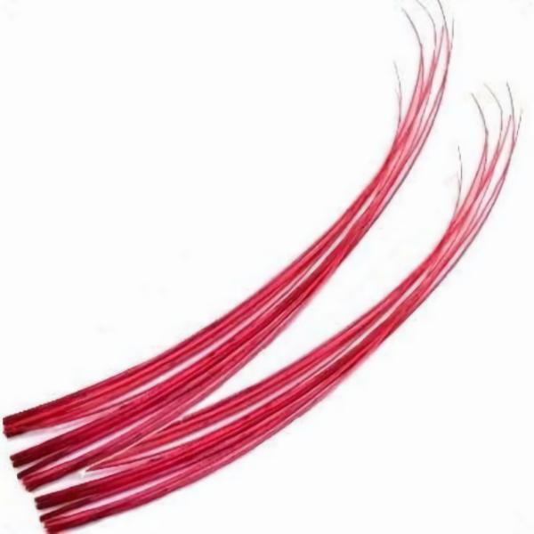 Ostrich Feather Quill Spine Barb – Hot Pink  |   Barbs