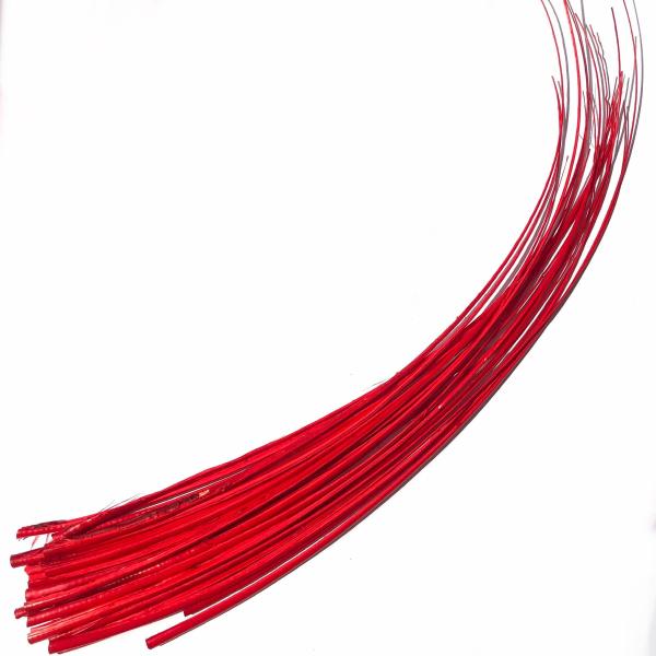 Ostrich Feather Quill Spine Barb – Red  |   Barbs