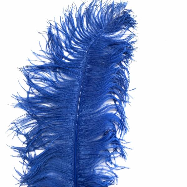 Ostrich Wing Feather Plumes 50-55Cm (20-22") – Royal Blue  |   Ostrich