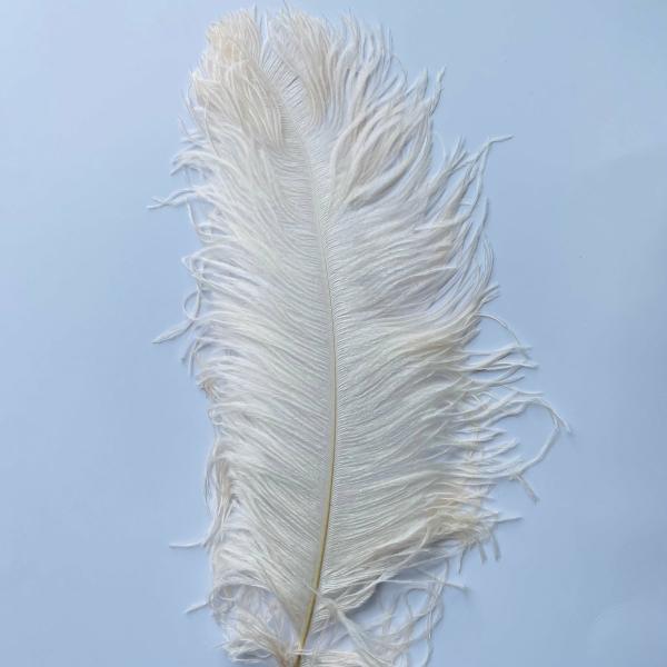 Ostrich Wing Feather Plumes 60-65Cm (24-26") – Pink Champagne  |   Ostrich