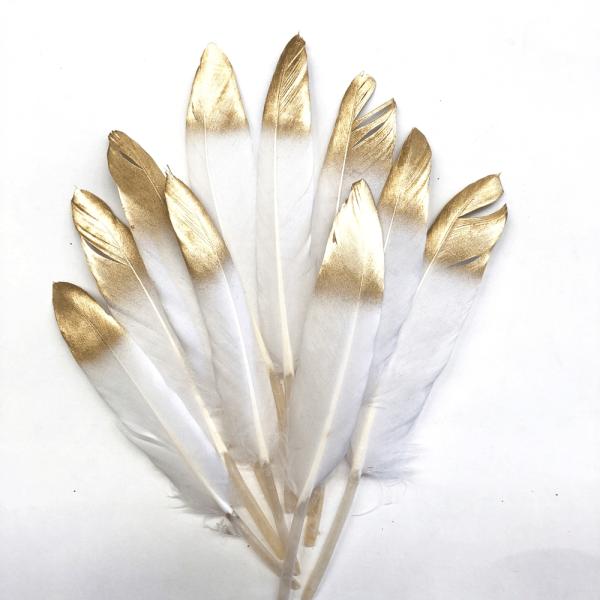 Tiny Goose Pointer Feather White Metallic Gold Tipped X 10 Pcs – Style 33  |   Goose