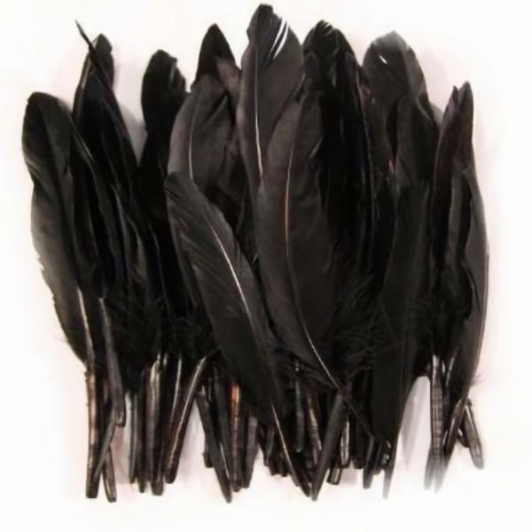 Tiny Goose Pointer Feathers 10 Grams – Black ((Seconds))  |   Goose