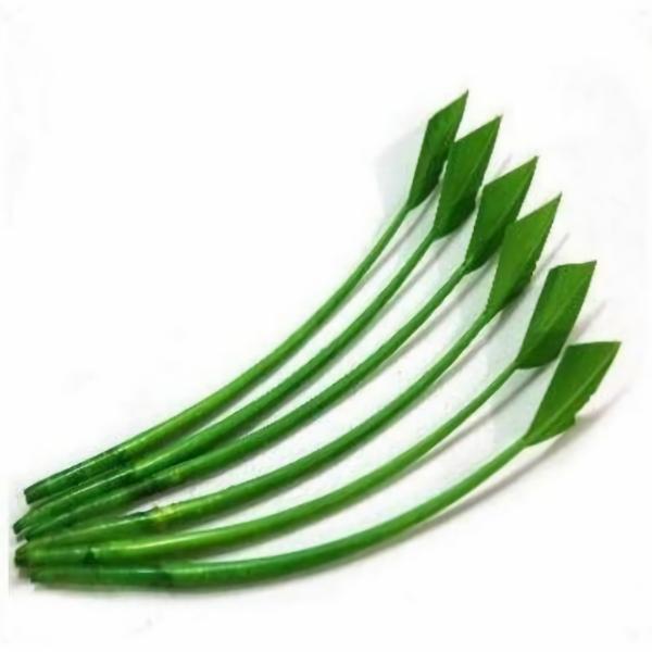 Turkey Wing Arrowhead Feather X 5 Pcs – Green  |   Arrowheads