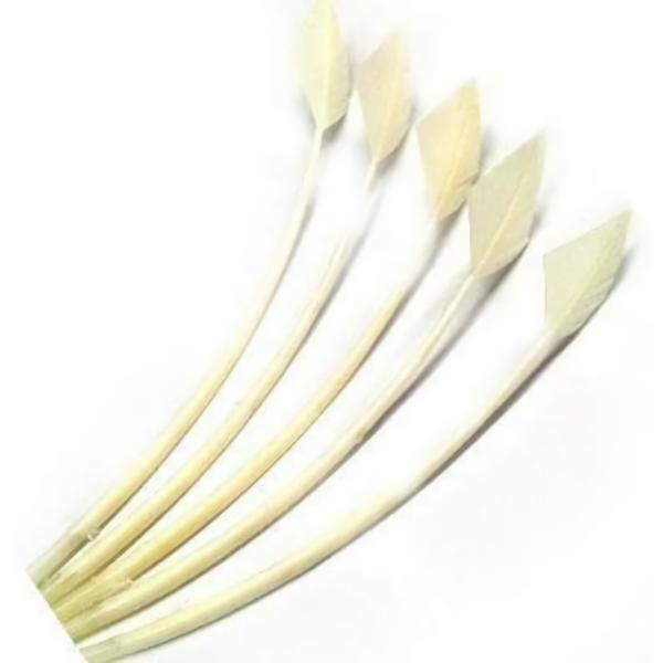 Turkey Wing Arrowhead Feather X 5 Pcs – Ivory  |   Arrowheads