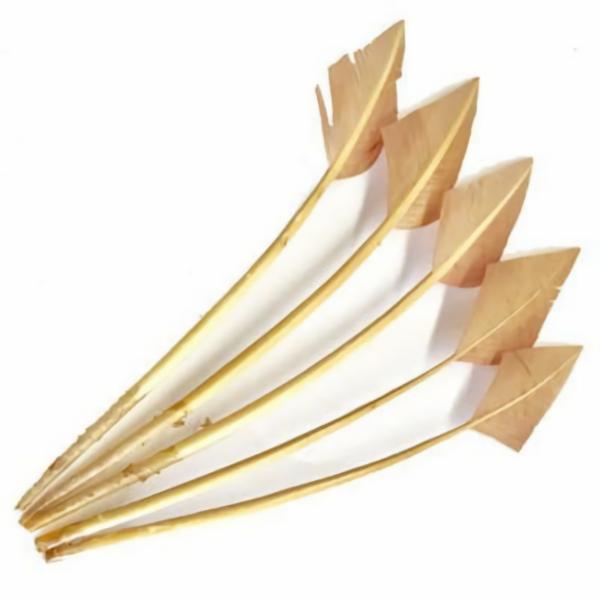 Turkey Wing Arrowhead Feather X 5 Pcs – Latte  |   Arrowheads