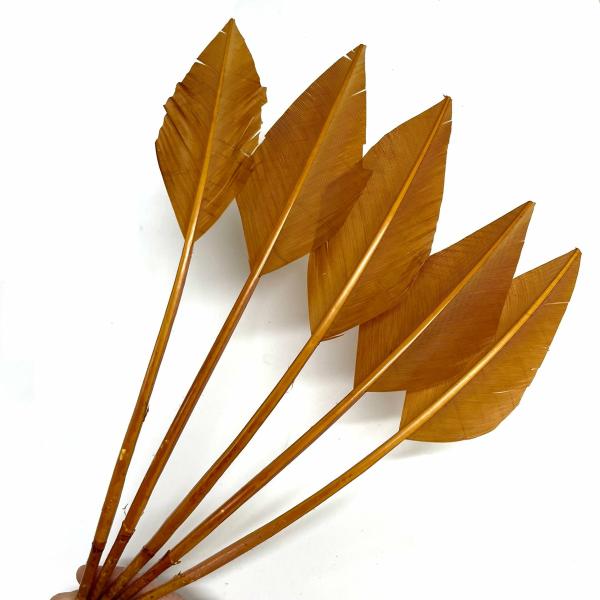 Turkey Wing Arrowhead Feather X 5 Pcs –  Tan Brown  |   Arrowheads