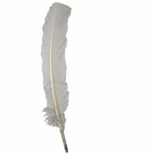 Turkey Wing Quill Feather X 5 Pcs – Silver Grey ((Seconds))  |   Turkey