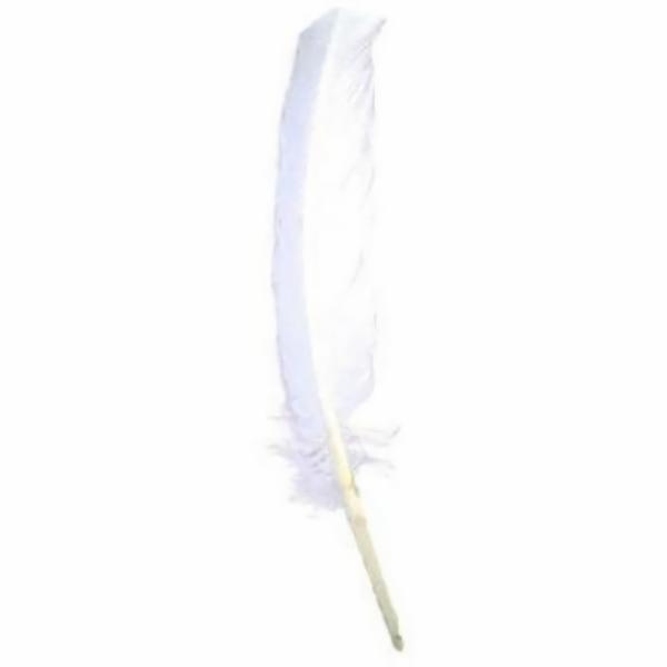 Turkey Wing Quill Feather X 5 Pcs – White  |   Turkey