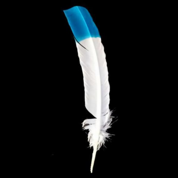 Turkey Wing Quill Feather X 5 Pcs – White With Turquoise Tip  |   Turkey