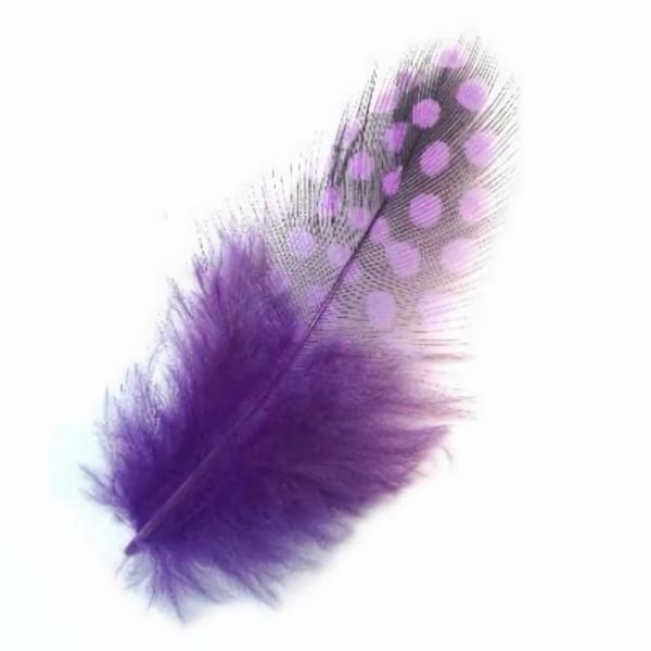 Guinea Plumage Feathers 10 Grams – Purple  |   Guinea