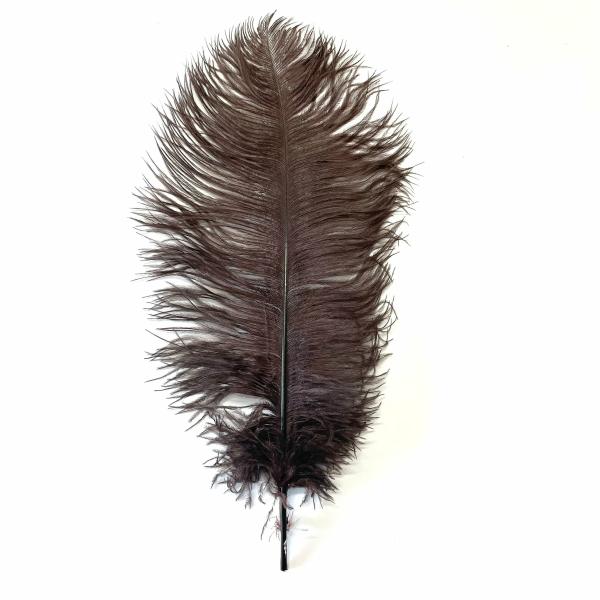 Ostrich Feather Drab 37-42Cm – Chocolate Brown  |   Ostrich