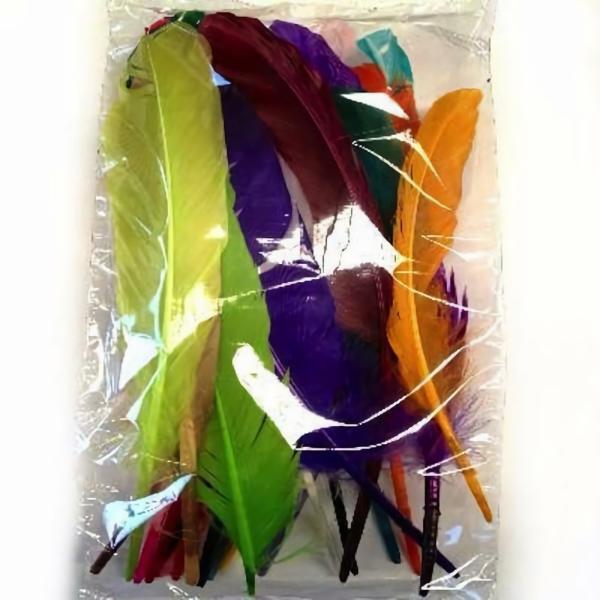 Goose Pointer Feathers 10 Grams – Assorted  |   Goose