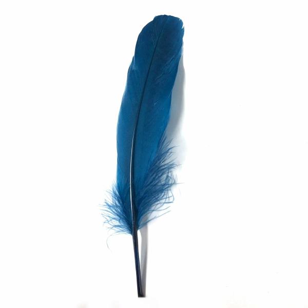 Goose Pointer Feathers 10 Grams – Peacock Blue  |   Turkey