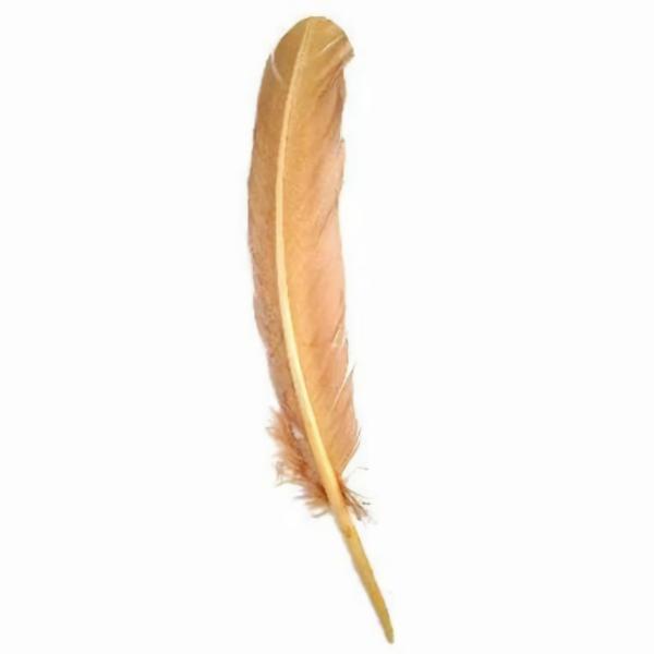 Turkey Wing Quill Feather X 5 Pcs – Gold  |   Turkey