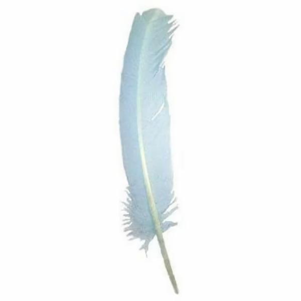 Turkey Wing Quill Feather X 5 Pcs – Light Blue ((Seconds))  |   Turkey