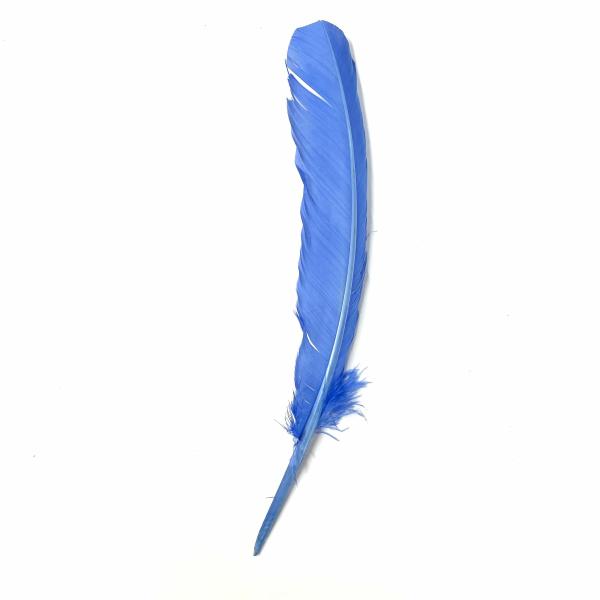 Turkey Wing Quill Feather X 5 Pcs – Wedgewood Blue ((Seconds))  |   Turkey