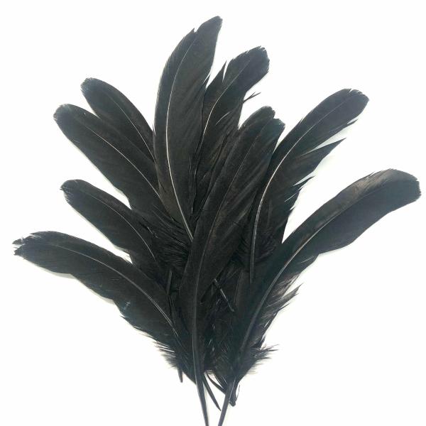 Under 6" Reeves Pheasant Tail Feather X 10 Pcs – Black  |   Pheasant